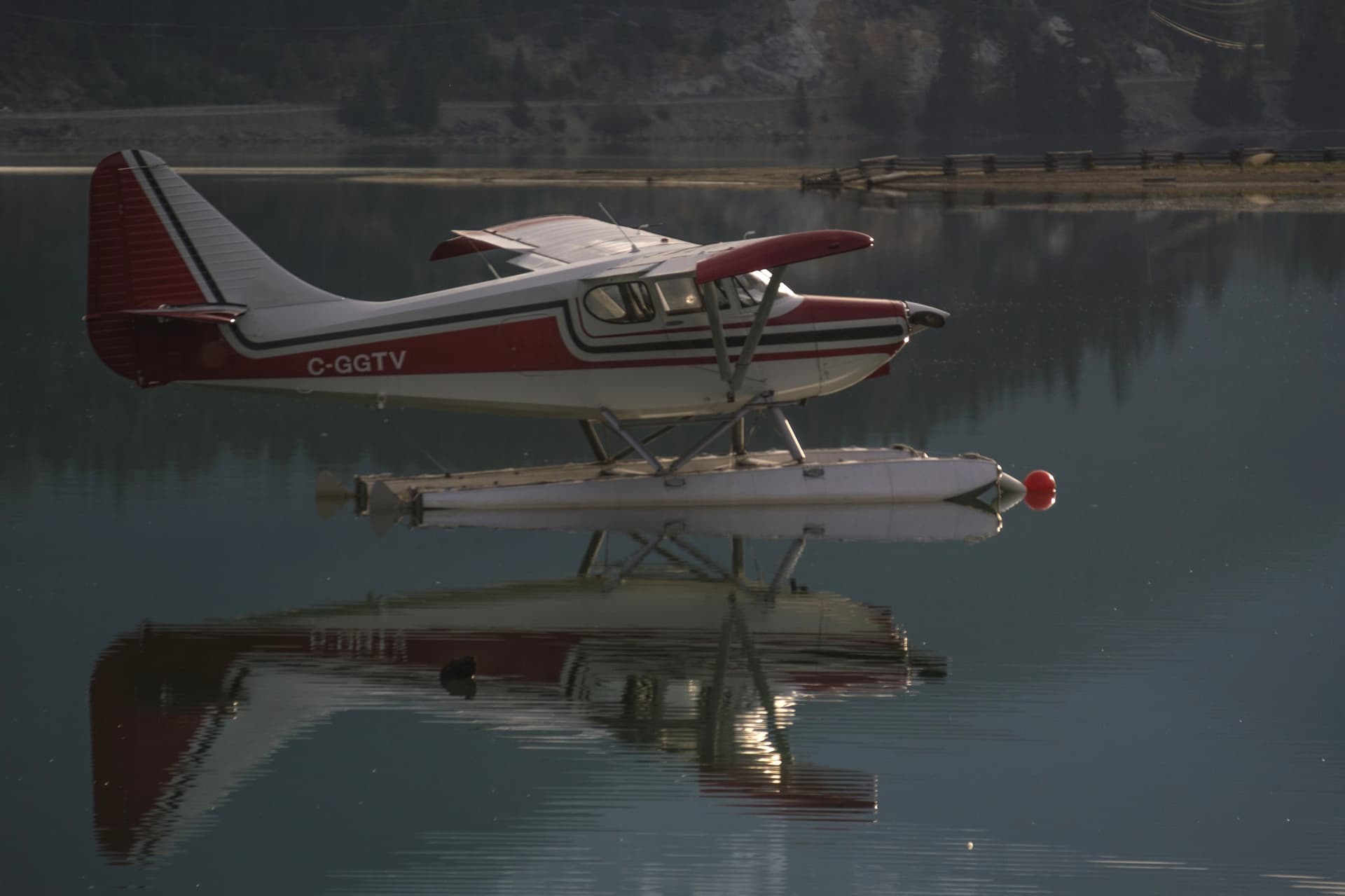 Single Engine Amphibious Aircraft: A Buyer's Guide