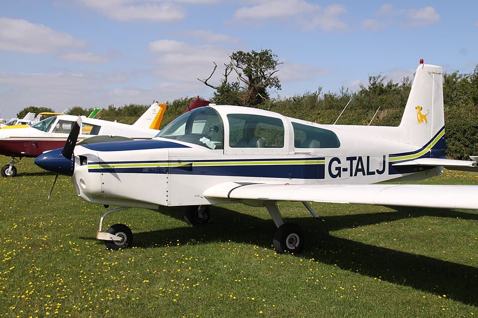 Grumman Cheetah vs Cessna 172: Which Four-Seat Single Is Better?