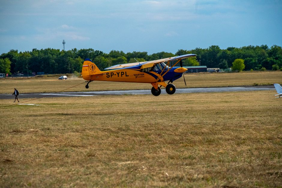 Husky vs Super Cub vs Carbon Cub: Cheapest?