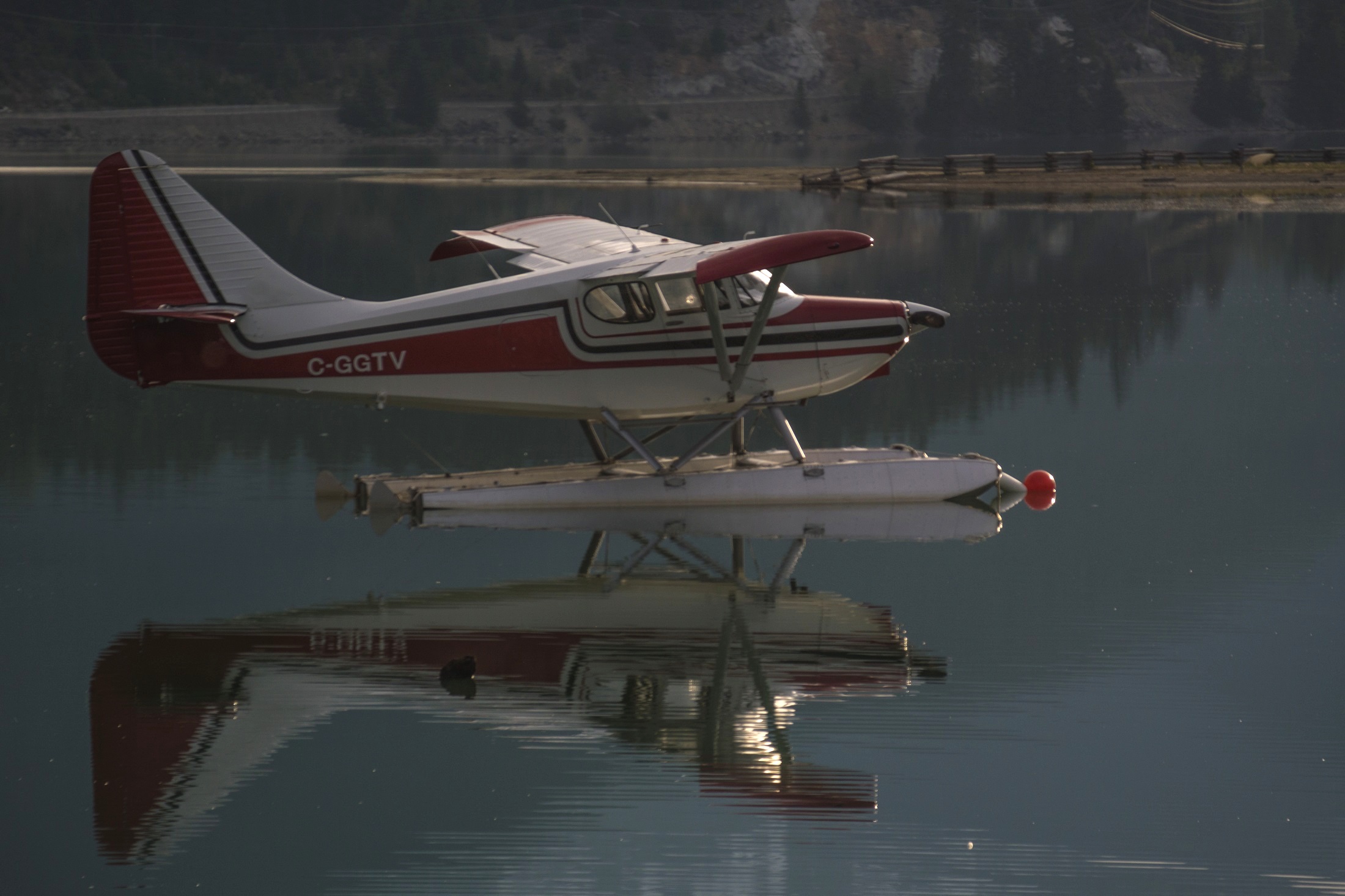 Single Engine Amphibious Aircraft: A Buyer's Guide